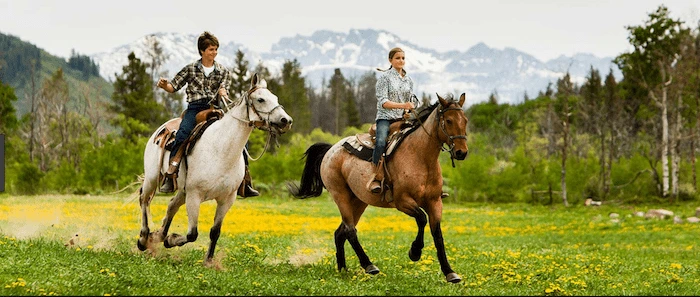 Confident plus-size woman riding Warwickshire a horse through a field with a smile on her face.